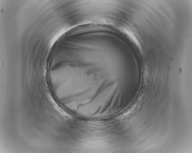 X0000088200944200706051228