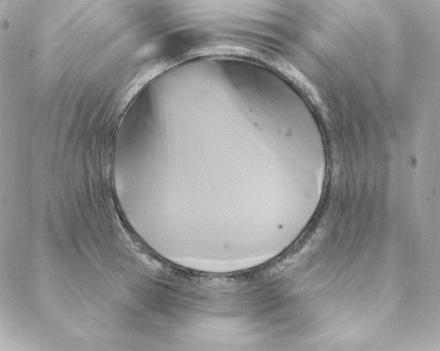 X0000088200945200706051228