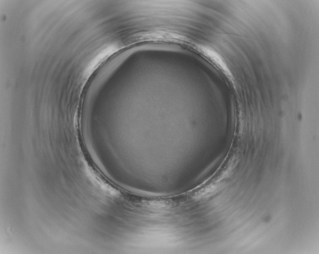 X0000088200946200706051228