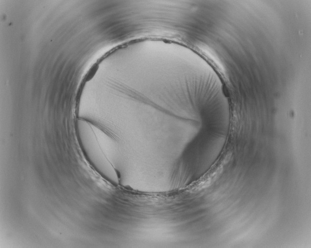 X0000088200948200706051228