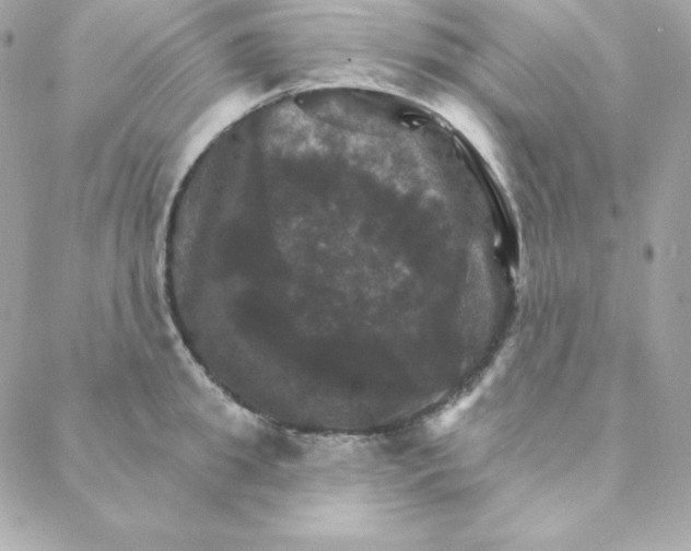 X0000088200949200706051228