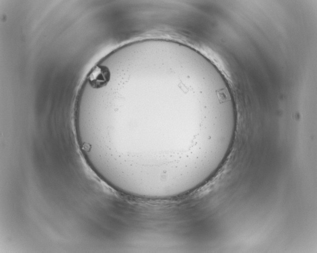 X0000088200950200706051228