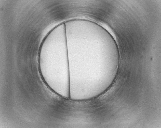 X0000088200951200706051228