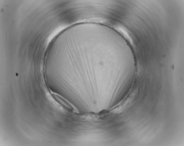 X0000088200952200706051228