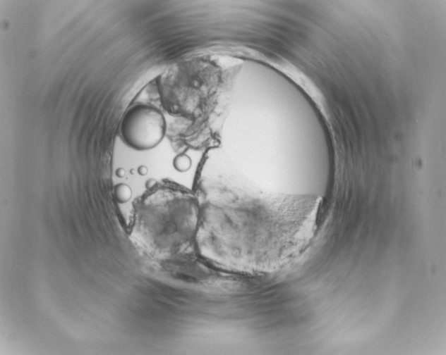 X0000088200953200706051228