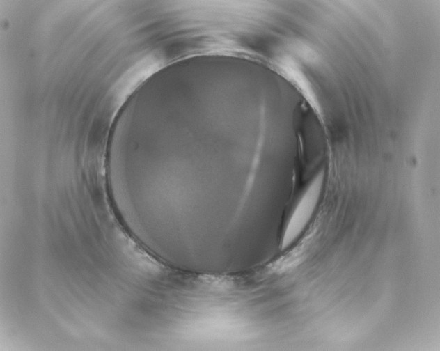 X0000088200954200706051228