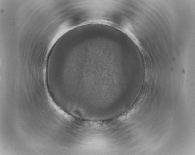 X0000088200955200706051228