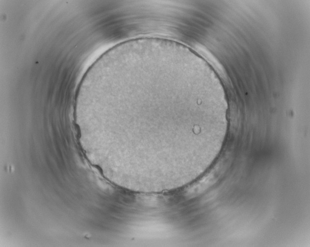 X0000088200956200706051228