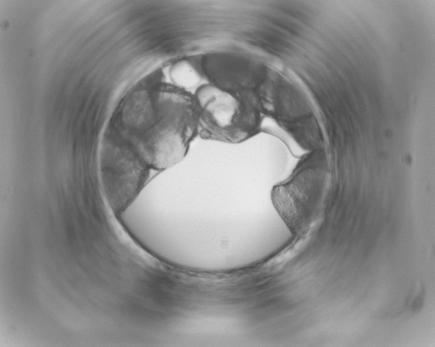 X0000088200957200706051228