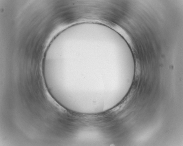 X0000088200958200706051228