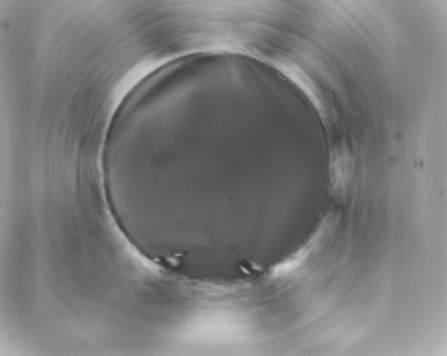 X0000088200959200706051228