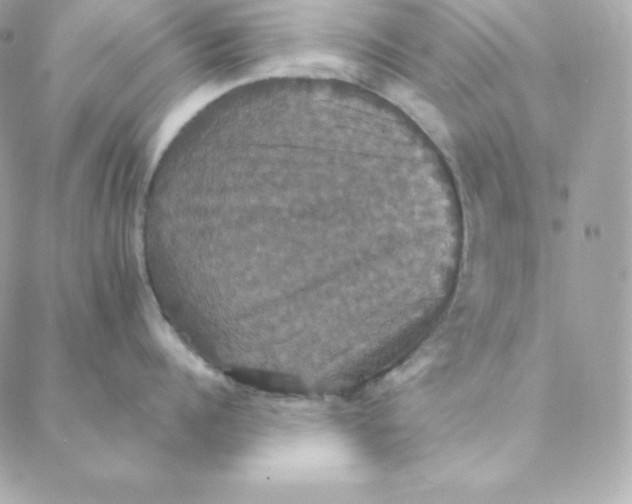 X0000088200960200706051228