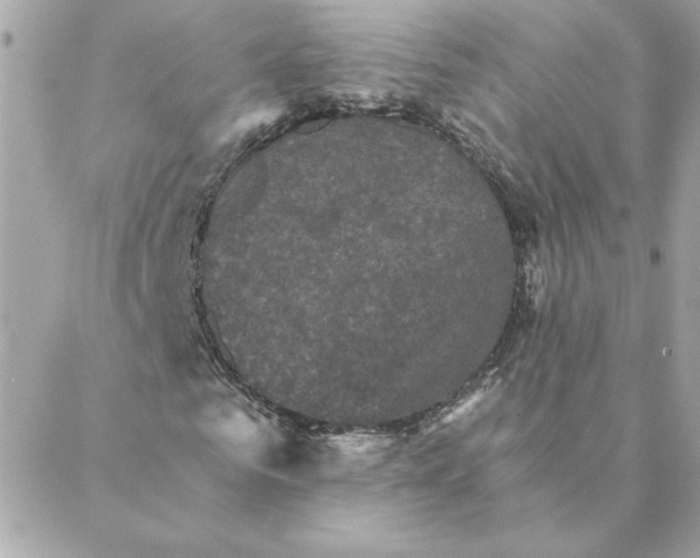 X0000088200961200706051228