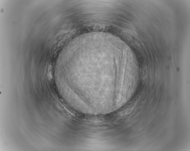 X0000088200962200706051228