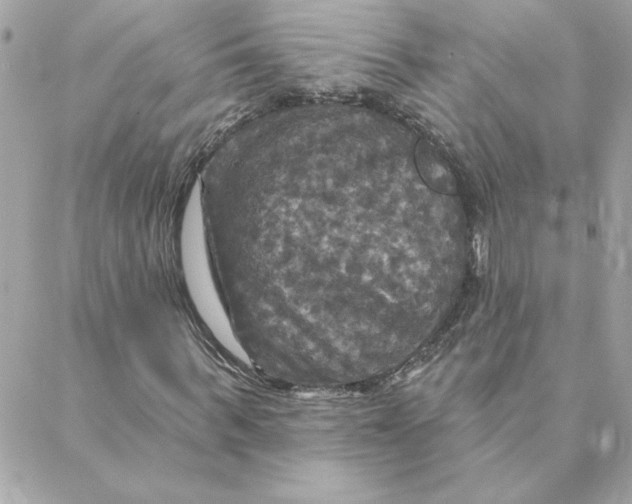 X0000088200963200706051228