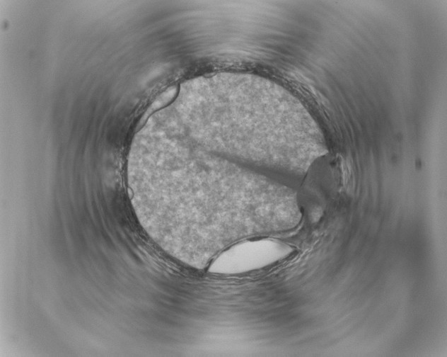 X0000088200964200706051228