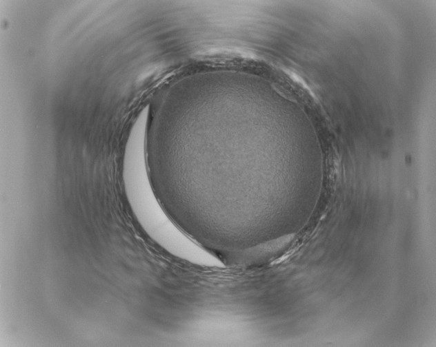 X0000088200965200706051228