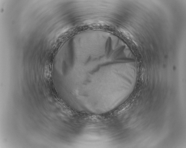 X0000088200966200706051228