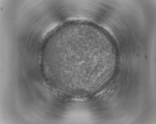 X0000088200967200706051228