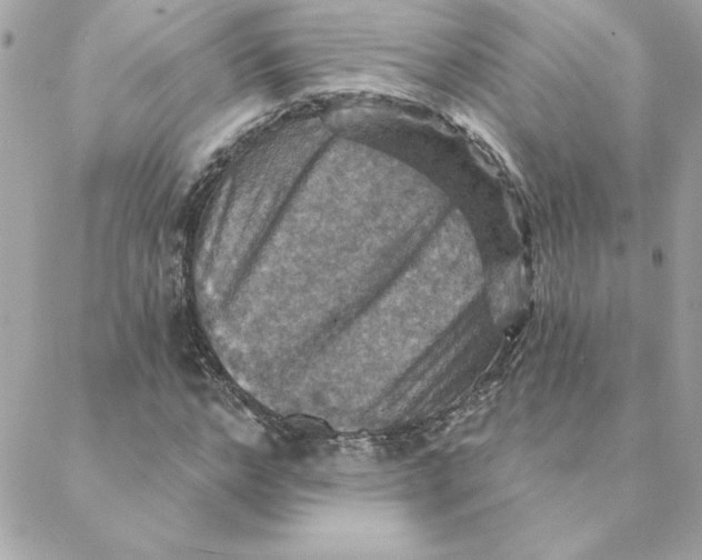 X0000088200968200706051228