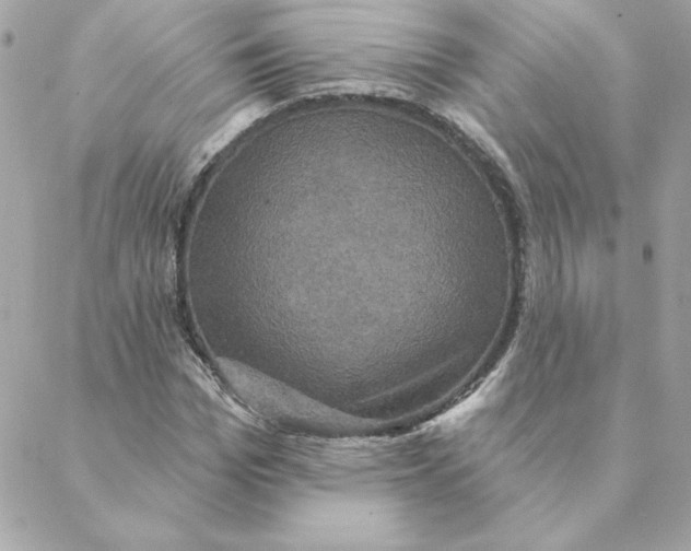 X0000088200969200706051228