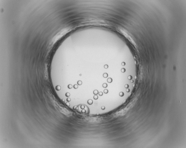 X0000088200970200706051228