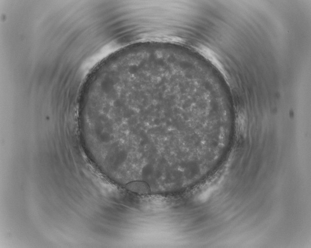 X0000088200971200706051228