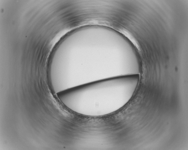 X0000088200972200706051228