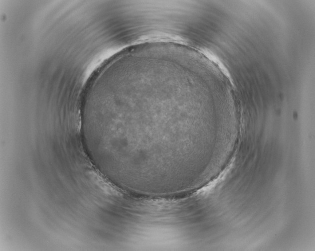 X0000088200973200706051228