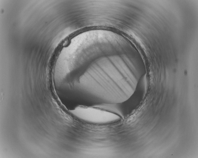 X0000088200975200706051227