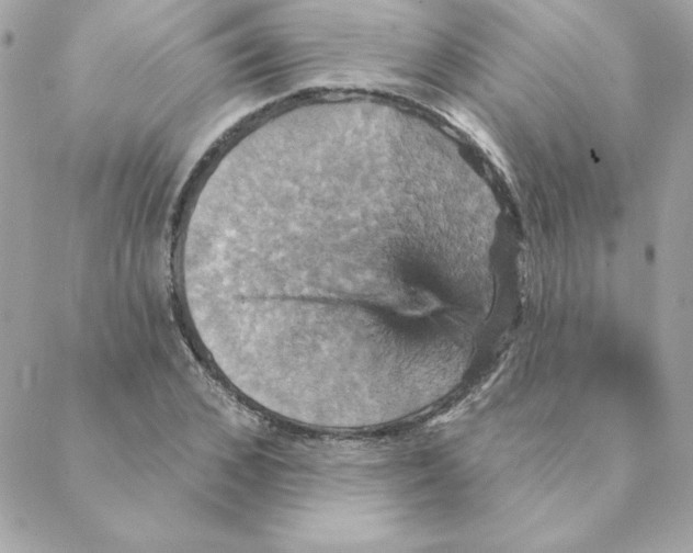 X0000088200976200706051227