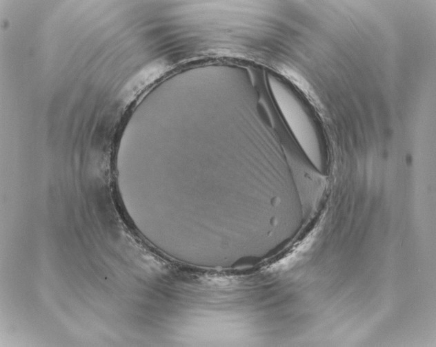 X0000088200977200706051227