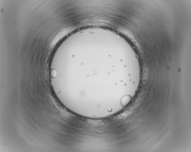 X0000088200978200706051227