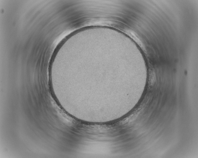 X0000088200980200706051227