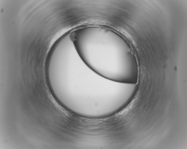 X0000088200981200706051227