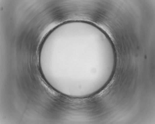 X0000088200982200706051227