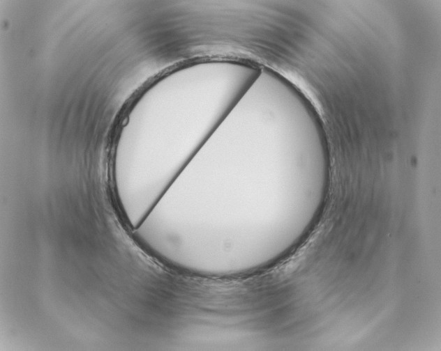 X0000088200983200706051227