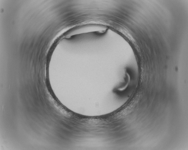 X0000088200984200706051227