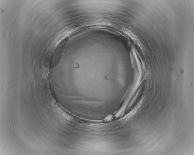 X0000088200985200706051227