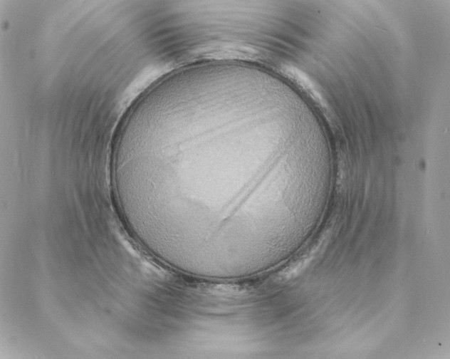 X0000088200986200706051227