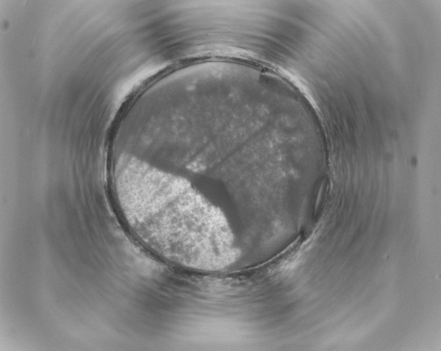 X0000088200987200706051227