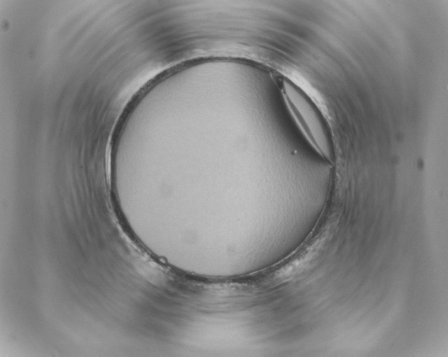 X0000088200988200706051227