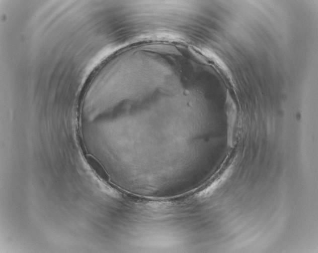 X0000088200989200706051227