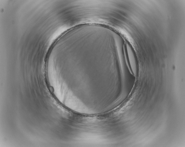 X0000088200990200706051227