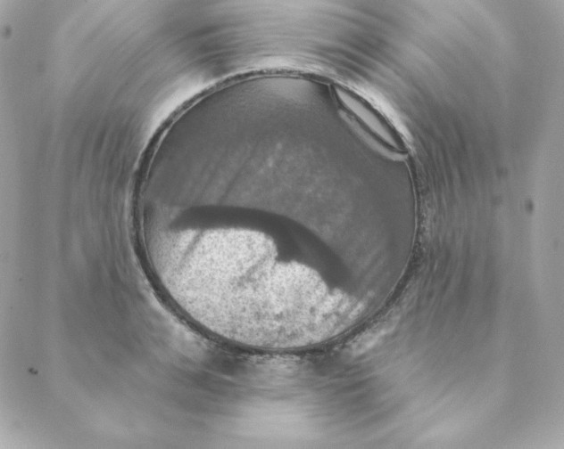 X0000088200991200706051227