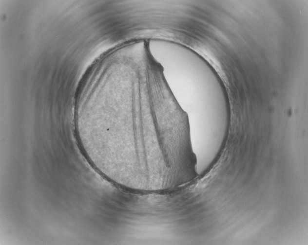 X0000088200992200706051227