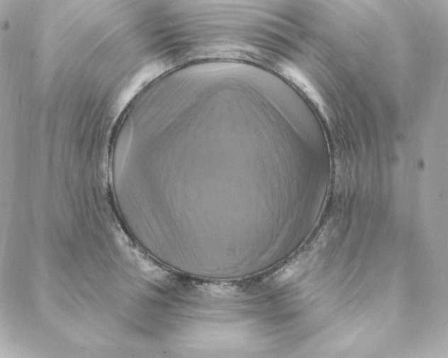 X0000088200994200706051227