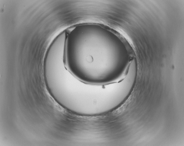 X0000088200996200706051227