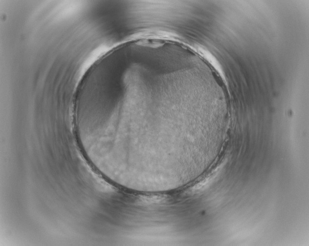 X0000088200997200706051227