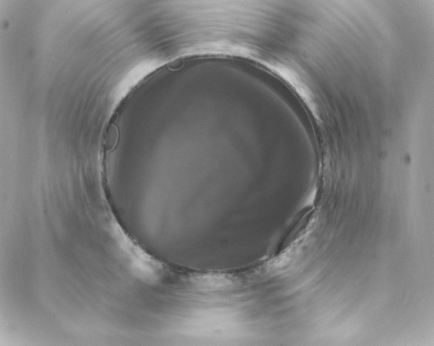 X0000088200998200706051227